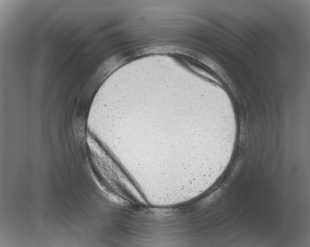X0000080770849200701122053