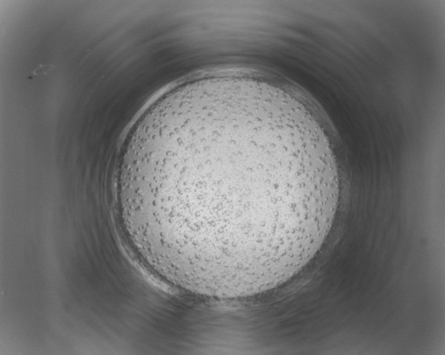 X0000080770852200701122053