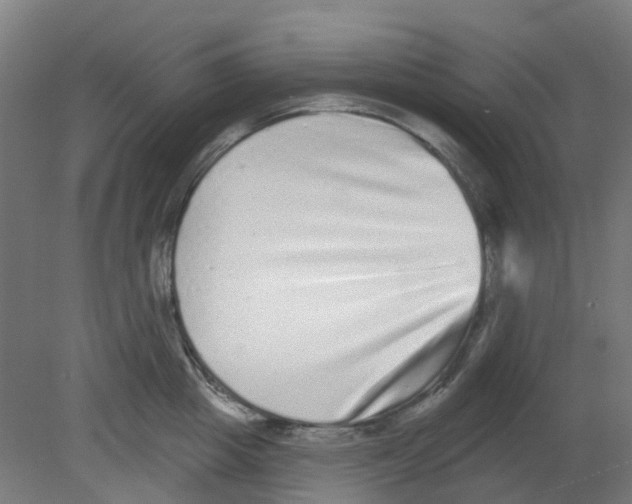 X0000080770857200701122053