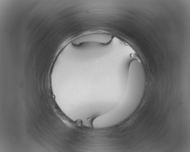 X0000080770858200701122053