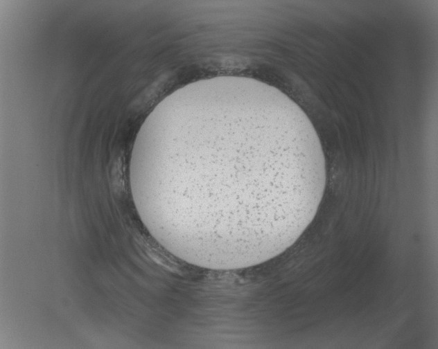 X0000080770866200701122053