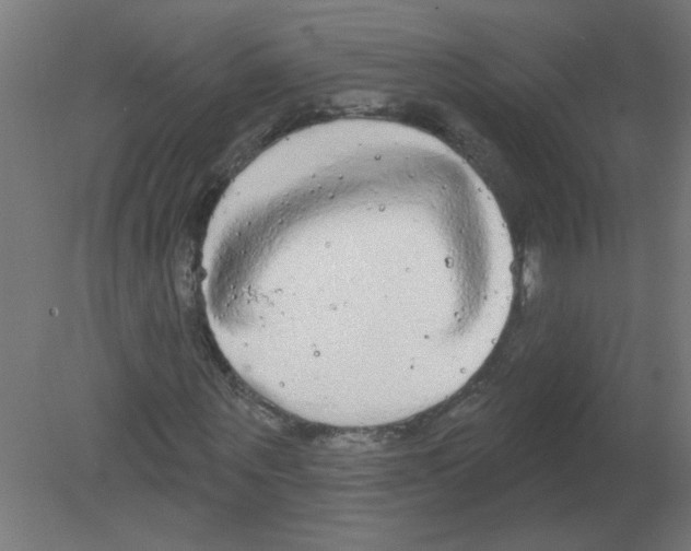 X0000080770867200701122053