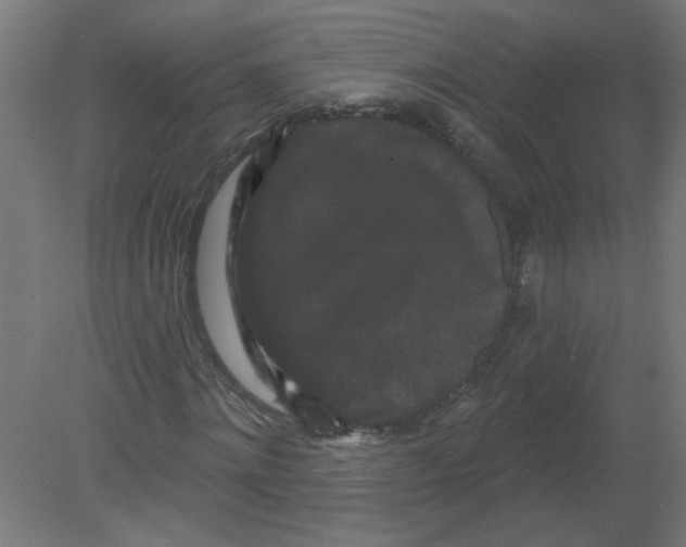 X0000080770868200701122053