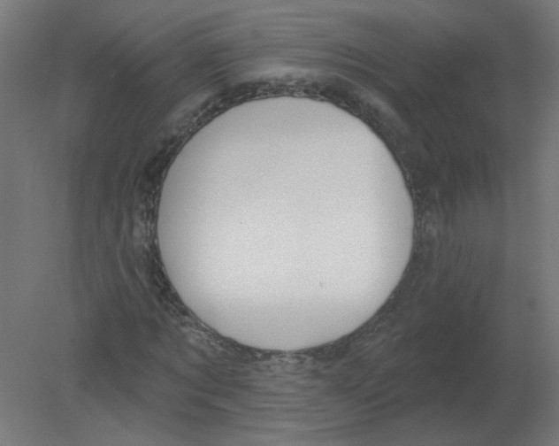X0000080770869200701122053
