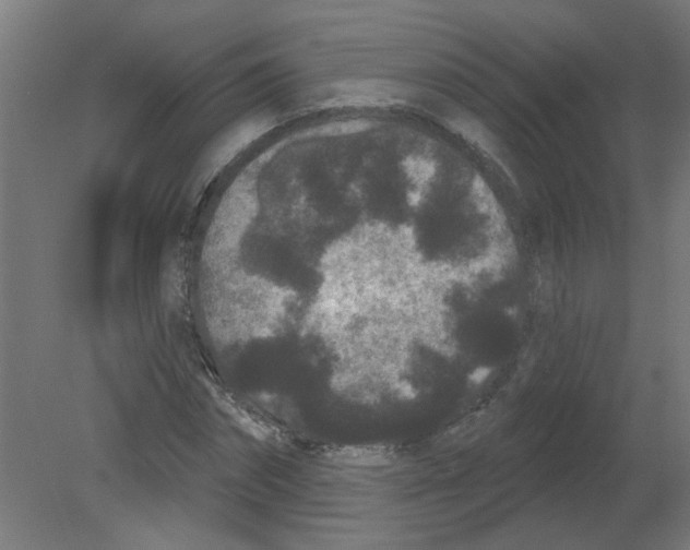 X0000080770874200701122053