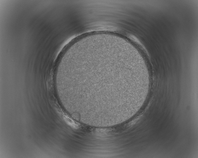 X0000080770875200701122053