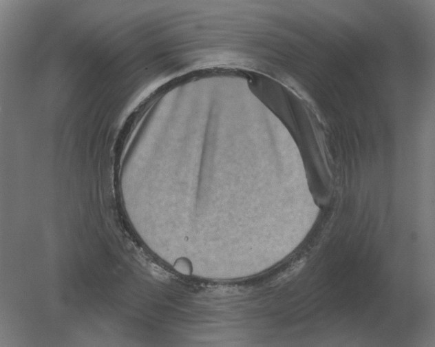 X0000080770877200701122053