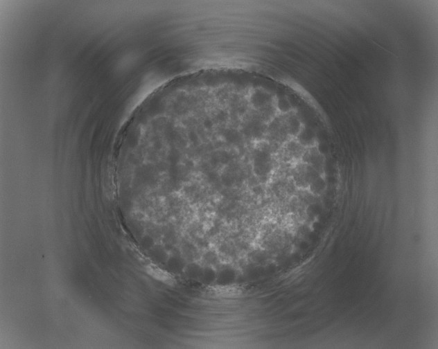 X0000080770878200701122053