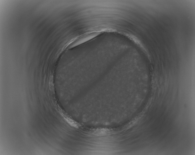 X0000080770881200701122052