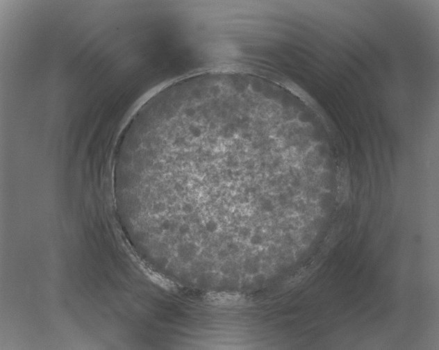 X0000080770886200701122052