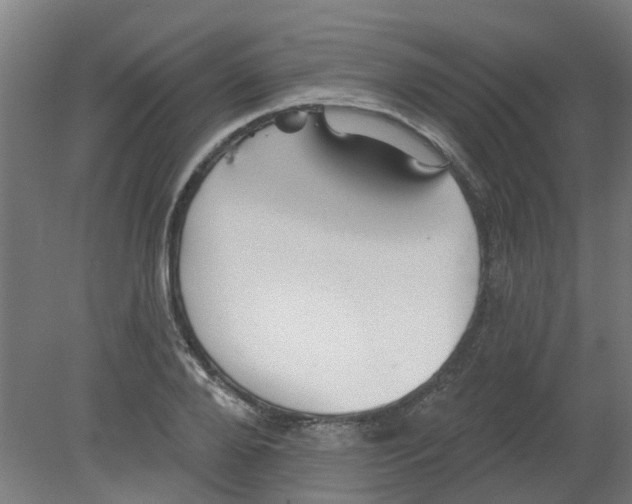 X0000080770888200701122052