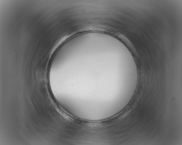 X0000080770893200701122052