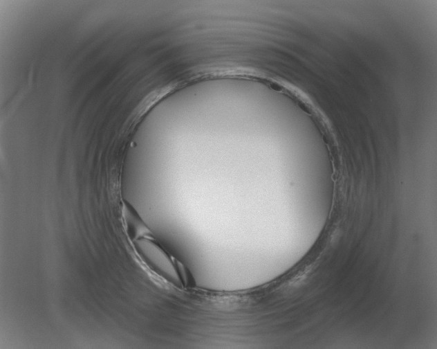 X0000080770897200701122052