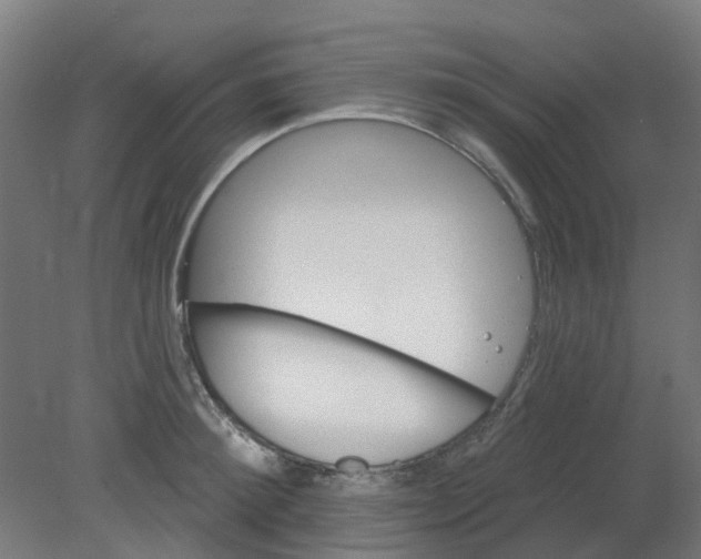 X0000080770900200701122052