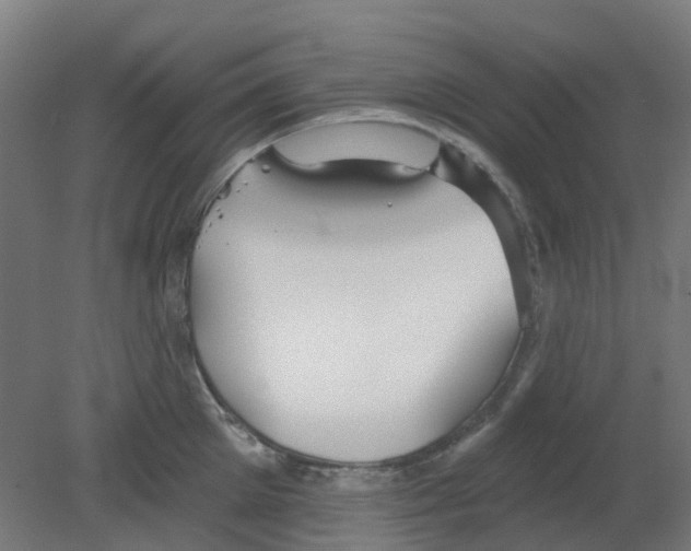 X0000080770905200701122052