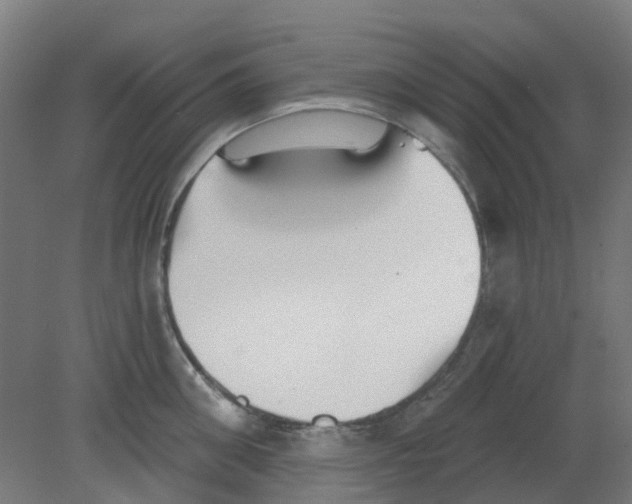 X0000080770906200701122052