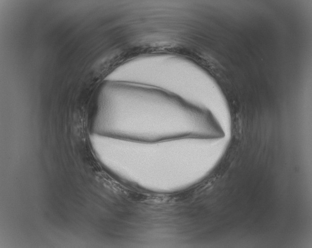 X0000080770917200701122051