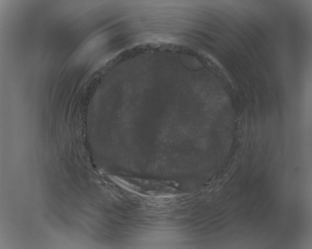 X0000080770919200701122051