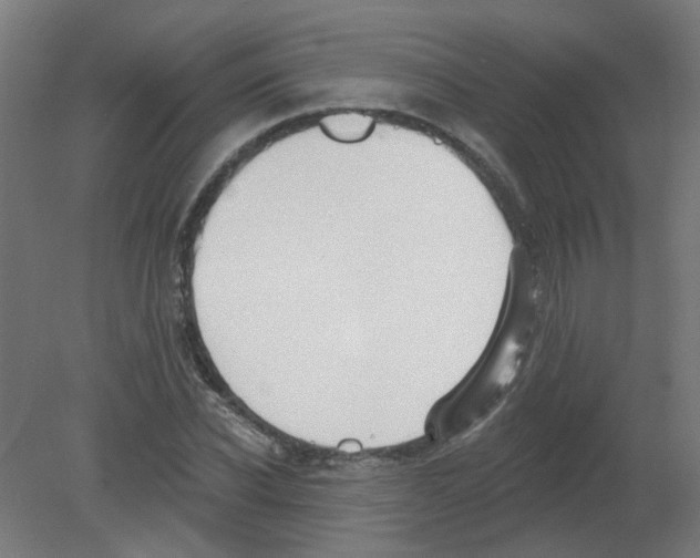 X0000080770926200701122051
