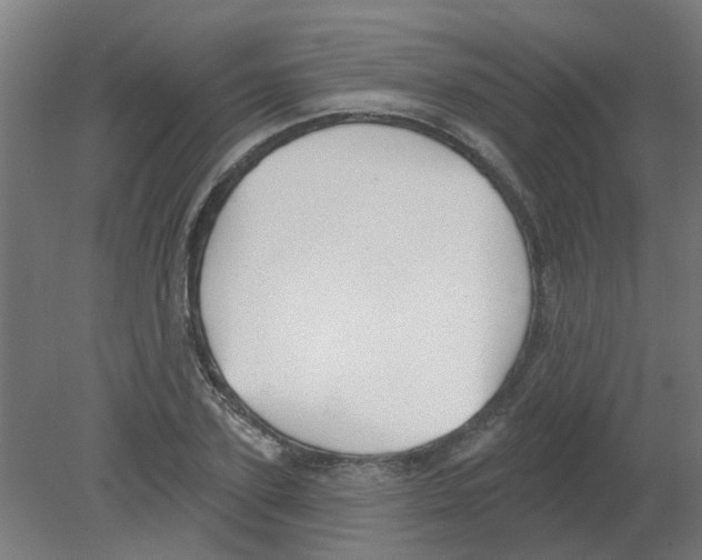 X0000080770931200701122051