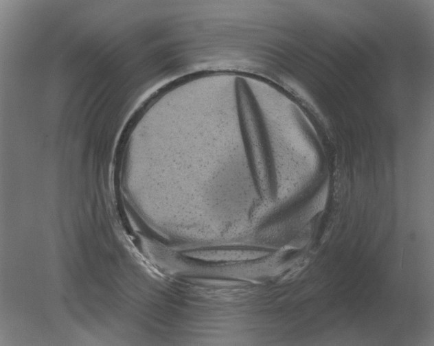 X0000080770932200701122051