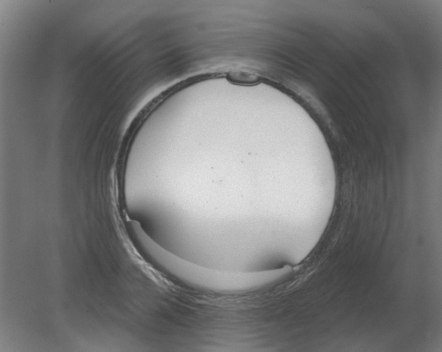 X0000080770936200701122052