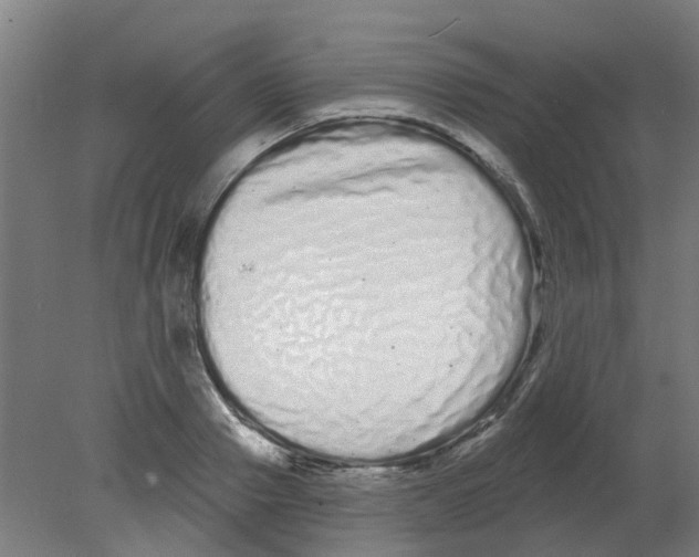 X0000080770937200701122052