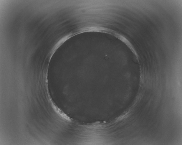 X0000080770954200701122052