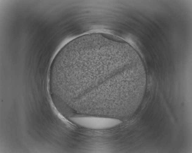 X0000080770955200701122052