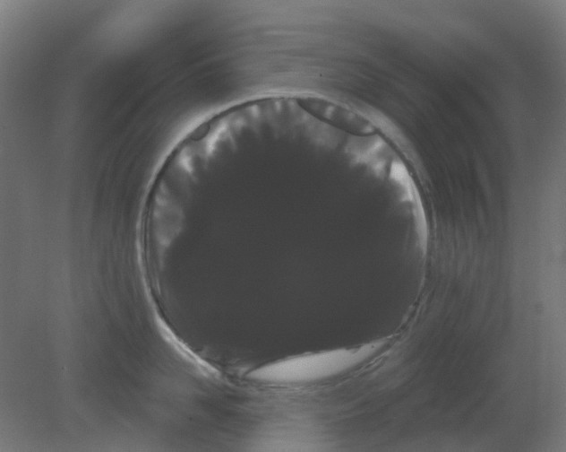 X0000080770958200701122052