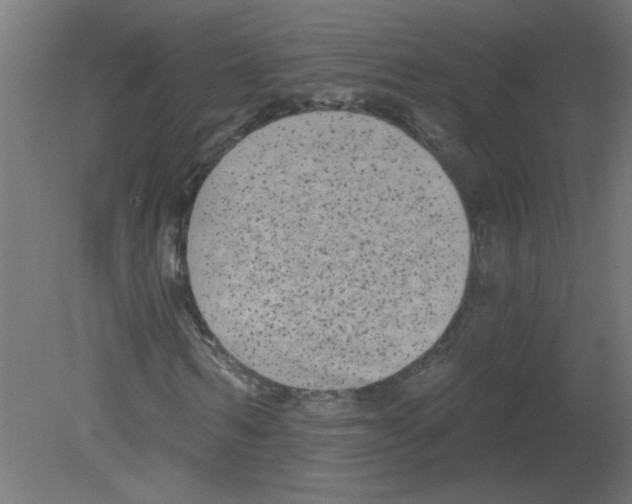 X0000080770962200701122051