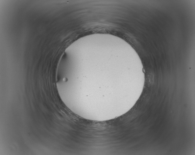 X0000080770964200701122051