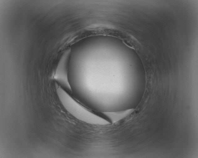 X0000080770965200701122051