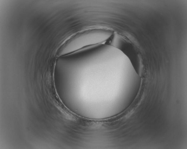X0000080770969200701122051