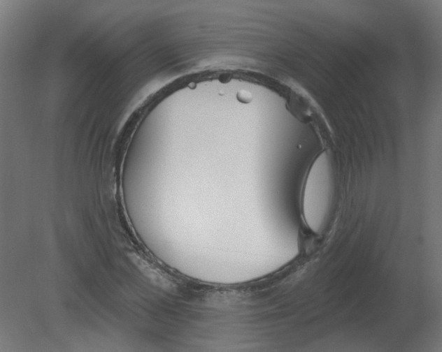 X0000080770973200701122051