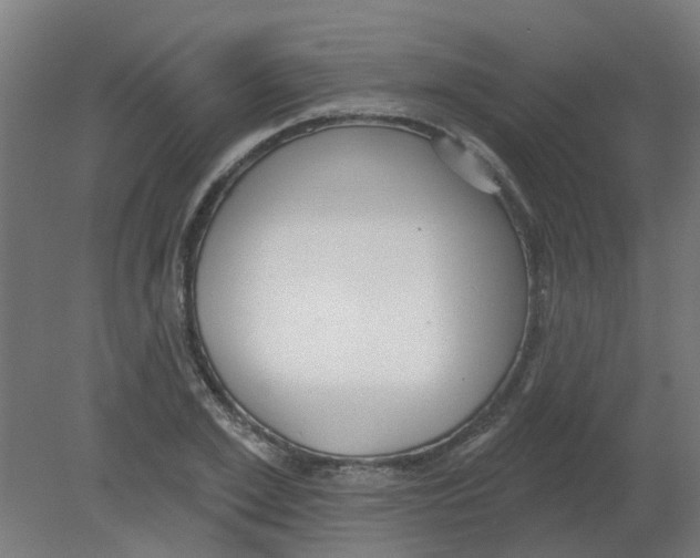 X0000080770981200701122051