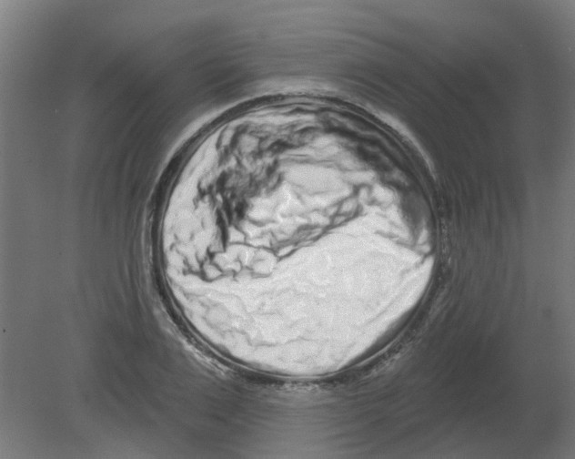 X0000080770983200701122051