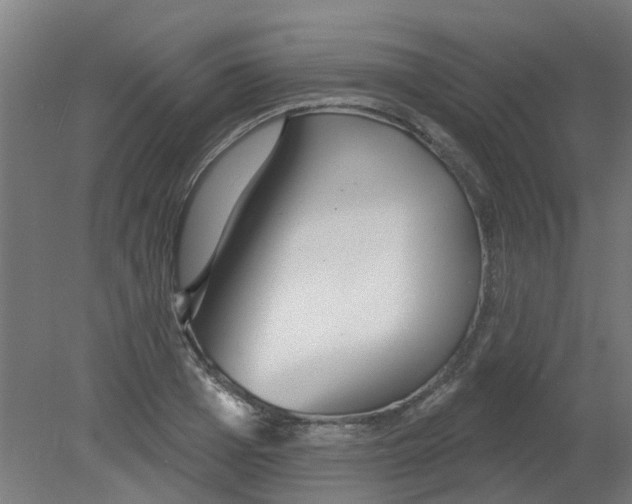 X0000080770985200701122051
