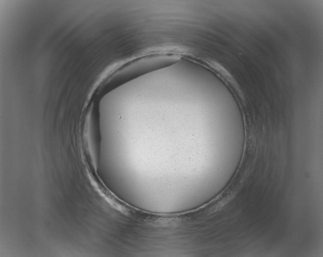 X0000080770989200701122051