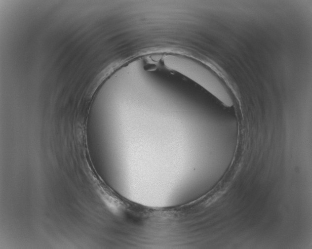 X0000080770993200701122051