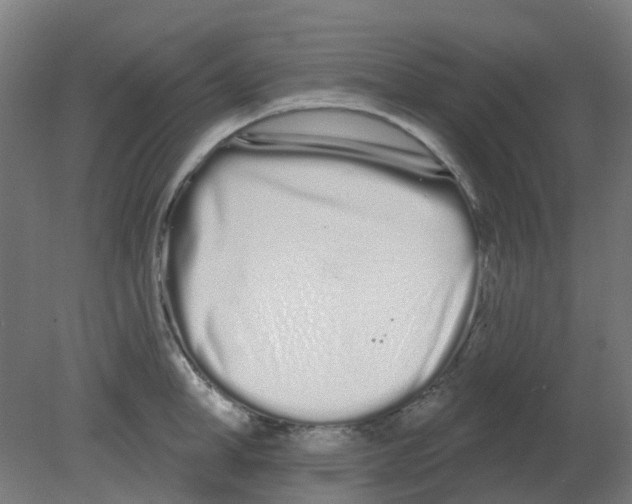 X0000080770998200701122051