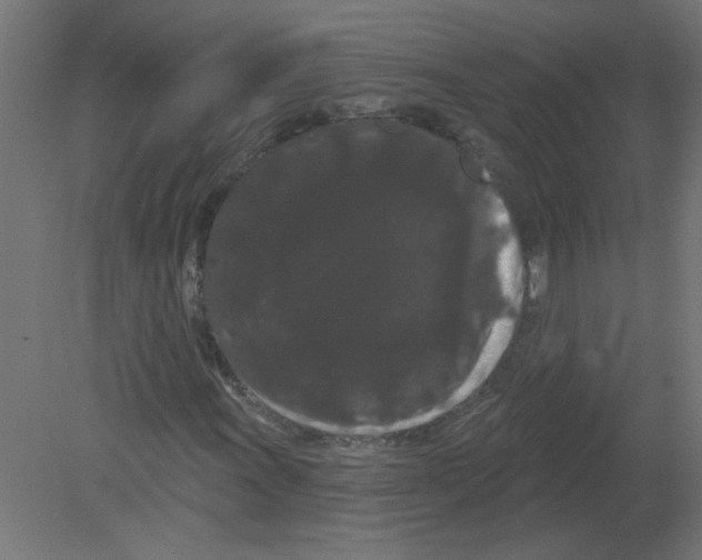 X0000080771011200701122050