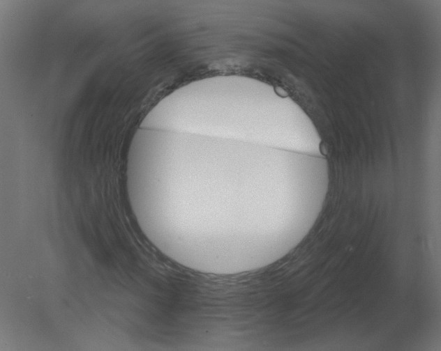 X0000080771012200701122050