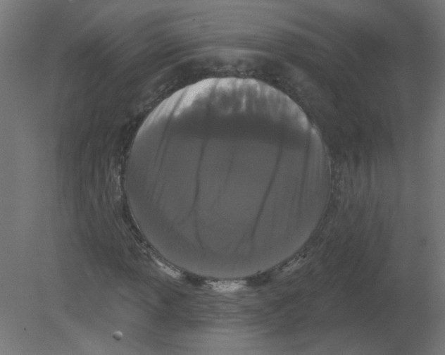 X0000080771013200701122050