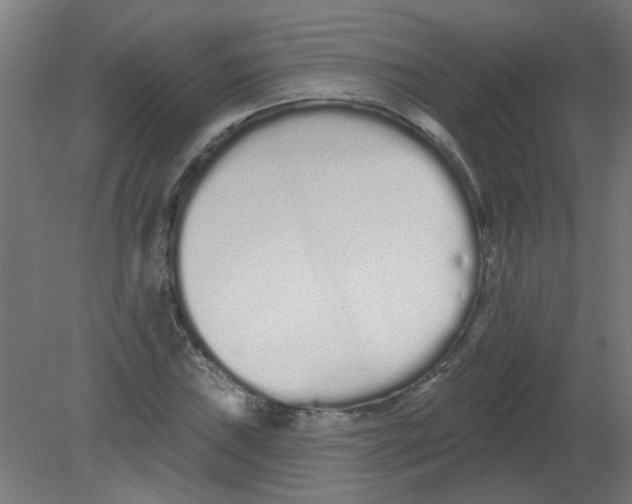 X0000080771019200701122050