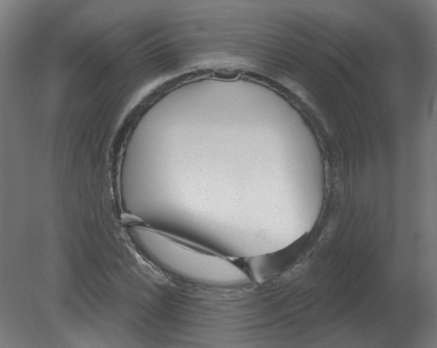X0000080771022200701122050
