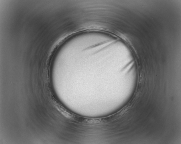 X0000080771027200701122050