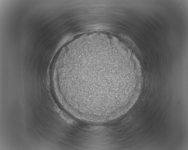 X0000080771031200701122050