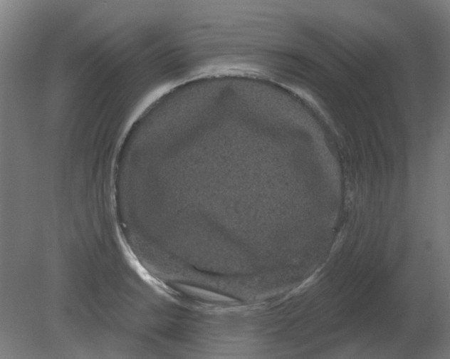 X0000080771038200701122050