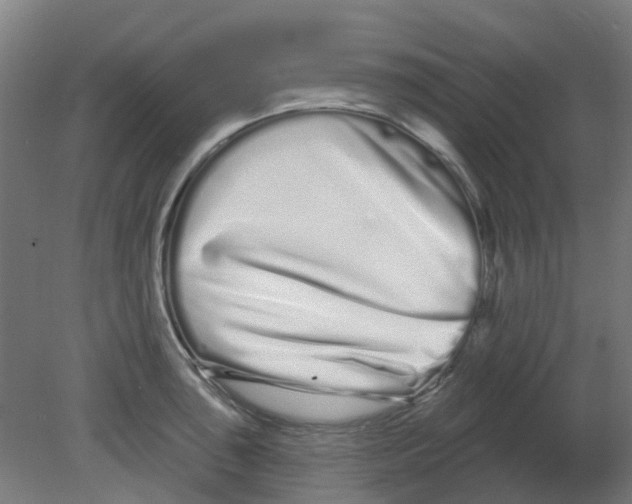 X0000080771043200701122050